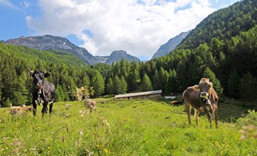 Rifugio Kleinalm