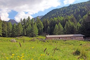 Wieshof in Schlanders / Vinschgau