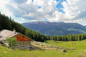 Wieshof in Schlanders / Vinschgau