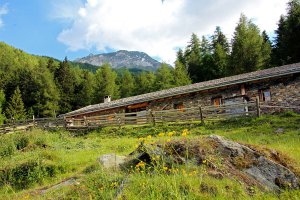 Wieshof in Schlanders / Vinschgau