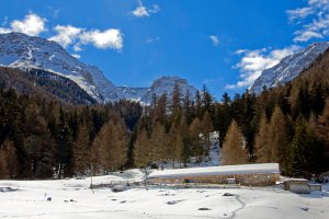 Wieshof in Schlanders / Vinschgau