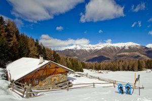 Wieshof in Silandro / Val Venosta 21