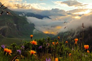 Wieshof in Schlanders / Vinschgau