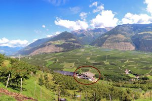Wieshof in Silandro / Val Venosta 2