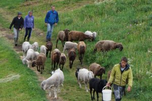 Una vacanza estiva in Val Venosta 6